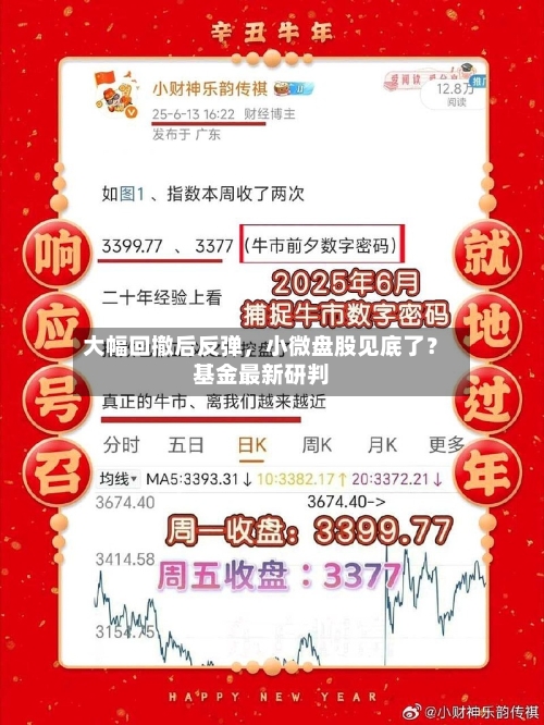 大幅回撤后反弹，小微盘股见底了？基金最新研判-第3张图片
