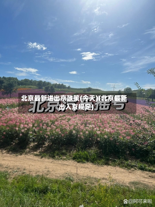 北京最新进出京政策(今天)(北京最新出入京规定)-第2张图片