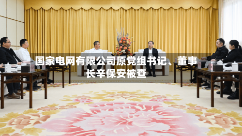 国家电网有限公司原党组书记、董事长辛保安被查-第2张图片