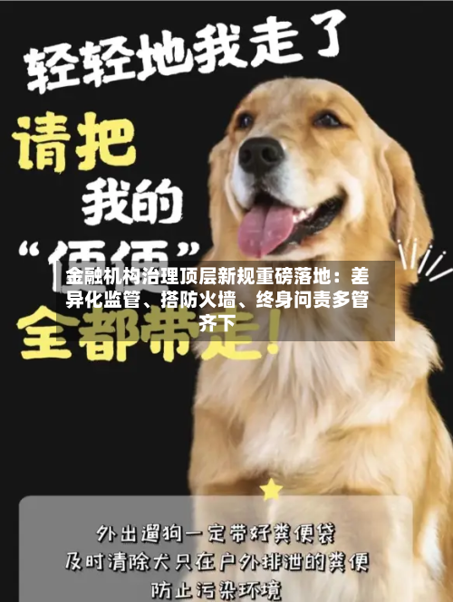 金融机构治理顶层新规重磅落地：差异化监管	、搭防火墙、终身问责多管齐下-第3张图片