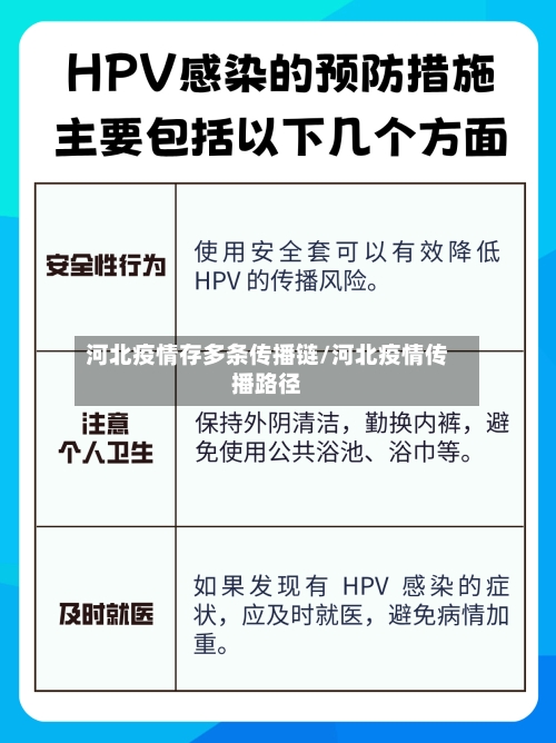 河北疫情存多条传播链/河北疫情传播路径