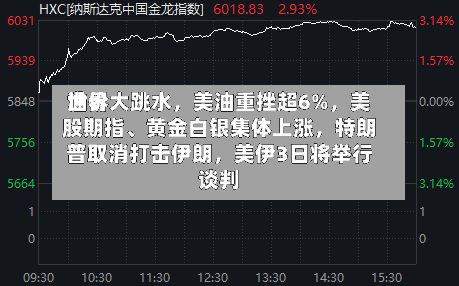 世界油价大跳水	，美油重挫超6%，美股期指、黄金白银集体上涨，特朗普取消打击伊朗，美伊3日将举行谈判-第3张图片