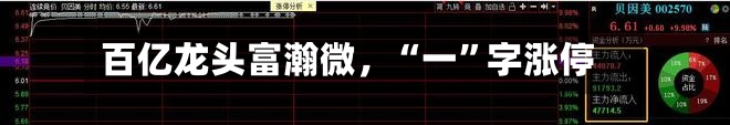 百亿龙头富瀚微	，“一	”字涨停-第3张图片