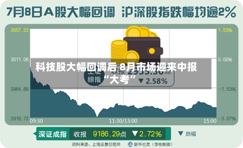 科技股大幅回调后 8月市场迎来中报“大考”-第2张图片