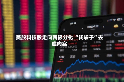 美股科技股走向两极分化 “钱袋子”去虚向实-第2张图片