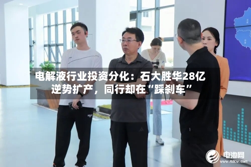 电解液行业投资分化：石大胜华28亿逆势扩产，同行却在“踩刹车”-第2张图片
