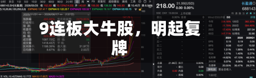 9连板大牛股，明起复牌-第3张图片