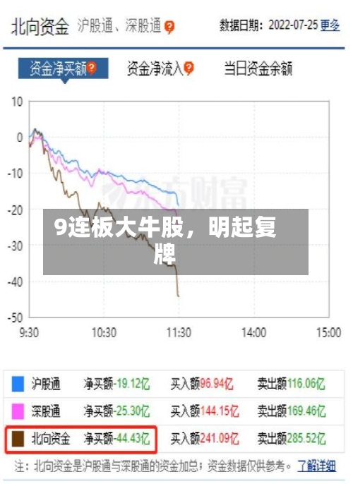 9连板大牛股，明起复牌-第2张图片