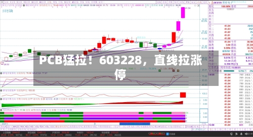 PCB猛拉！603228	，直线拉涨停-第2张图片