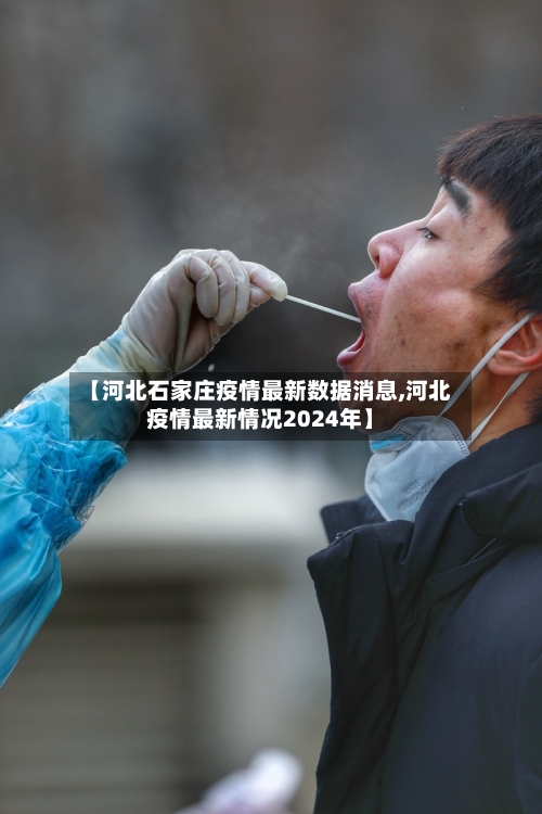 【河北石家庄疫情最新数据消息,河北疫情最新情况2024年】-第3张图片