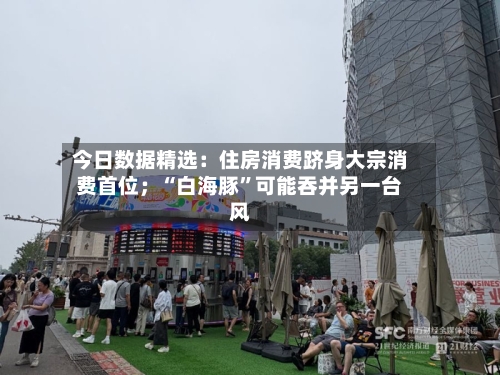 今日数据精选：住房消费跻身大宗消费首位；“白海豚”可能吞并另一台风-第2张图片