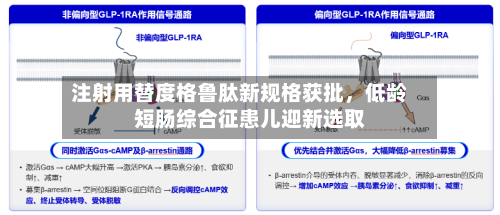 注射用替度格鲁肽新规格获批，低龄短肠综合征患儿迎新选取-第2张图片