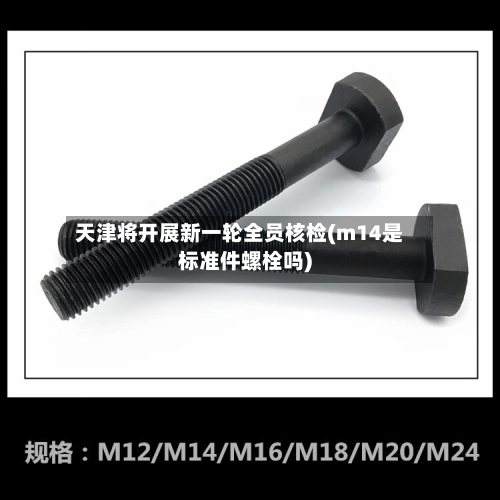 天津将开展新一轮全员核检(m14是标准件螺栓吗)