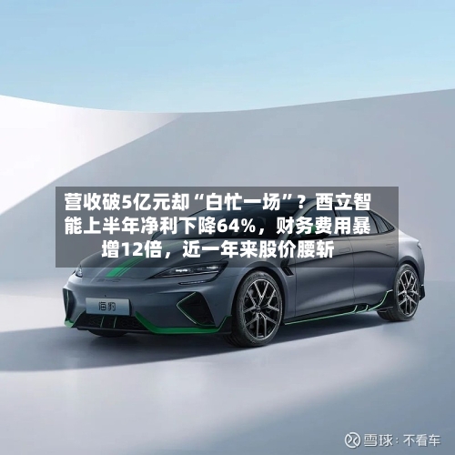 营收破5亿元却“白忙一场”？酉立智能上半年净利下降64%，财务费用暴增12倍	，近一年来股价腰斩-第3张图片