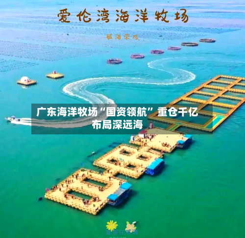广东海洋牧场“国资领航” 重仓千亿布局深远海-第2张图片