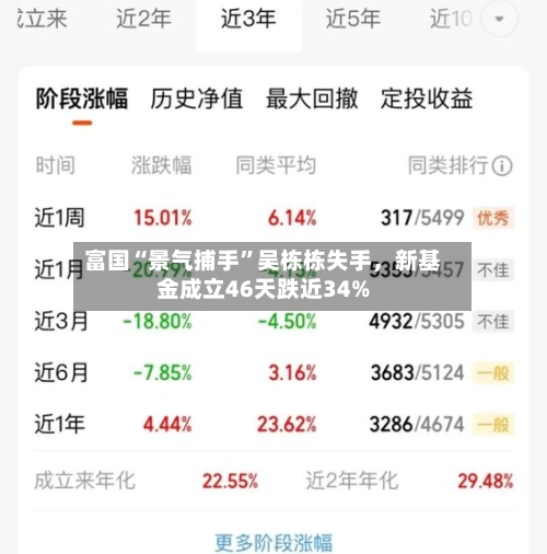 富国“景气捕手”吴栋栋失手	，新基金成立46天跌近34%-第3张图片