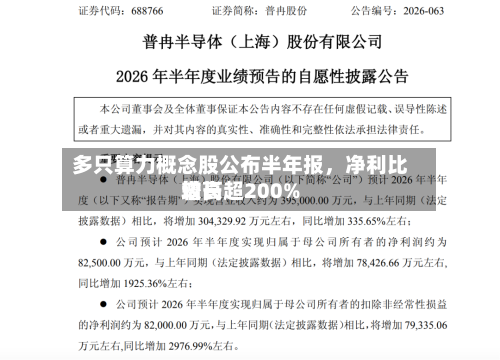 多只算力概念股公布半年报，净利比较高增长超200%-第2张图片