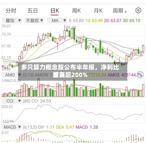 多只算力概念股公布半年报，净利比较高增长超200%-第3张图片