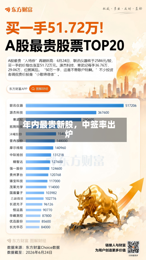 年内最贵新股，中签率出炉-第3张图片