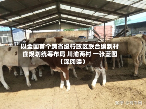以全国首个跨省级行政区联合编制村庄规划统筹布局 川渝两村 一张蓝图(深阅读)-第2张图片