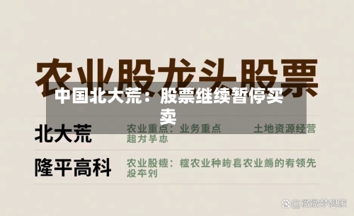 中国北大荒:股票继续暂停买卖-第2张图片