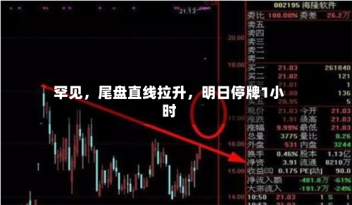 罕见，尾盘直线拉升，明日停牌1小时