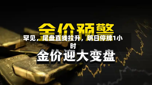 罕见，尾盘直线拉升	，明日停牌1小时-第3张图片