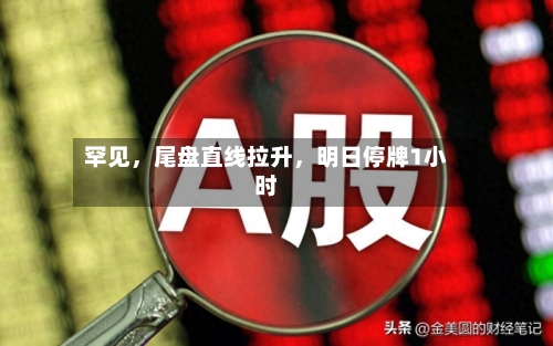 罕见，尾盘直线拉升，明日停牌1小时-第2张图片
