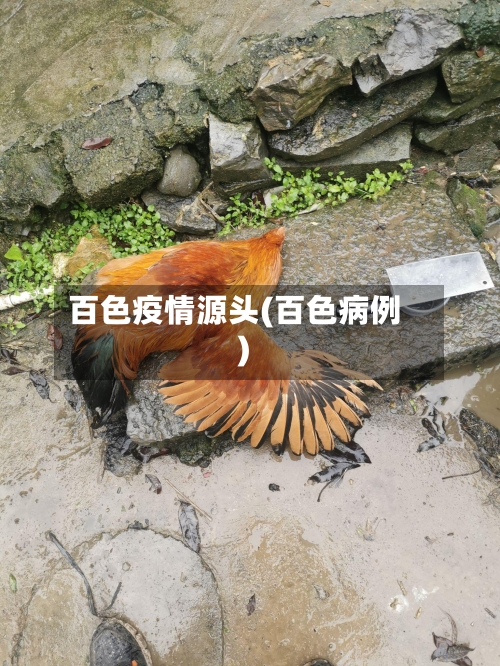 百色疫情源头(百色病例)