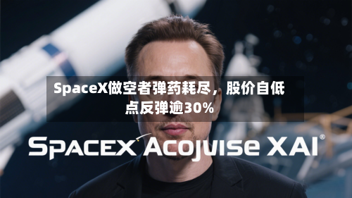 SpaceX做空者弹药耗尽，股价自低点反弹逾30%-第2张图片
