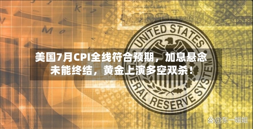 美国7月CPI全线符合预期，加息悬念未能终结，黄金上演多空双杀！-第2张图片