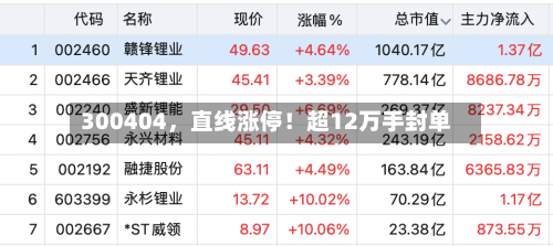 300404，直线涨停！超12万手封单-第3张图片