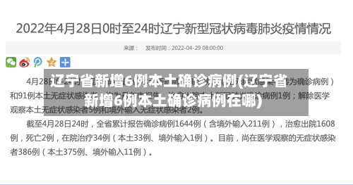 辽宁省新增6例本土确诊病例(辽宁省新增6例本土确诊病例在哪)