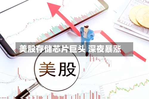 美股存储芯片巨头 深夜暴涨
