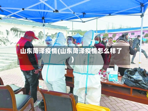 山东菏泽疫情(山东菏泽疫情怎么样了)-第2张图片