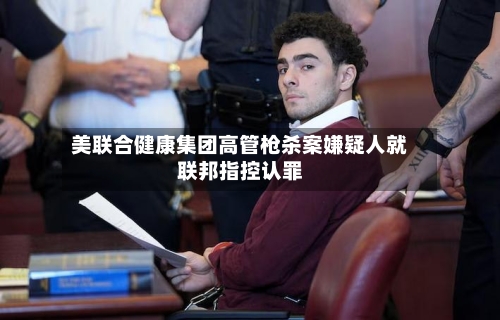 美联合健康集团高管枪杀案嫌疑人就联邦指控认罪