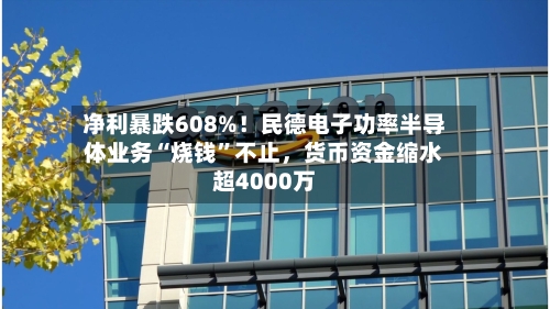 净利暴跌608%！民德电子功率半导体业务“烧钱”不止，货币资金缩水超4000万-第2张图片