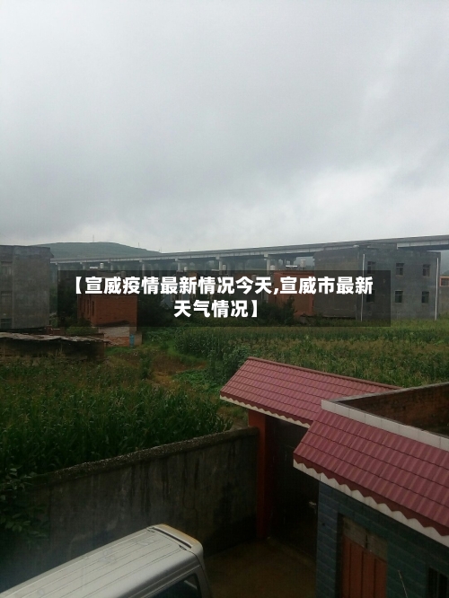 【宣威疫情最新情况今天,宣威市最新天气情况】-第2张图片