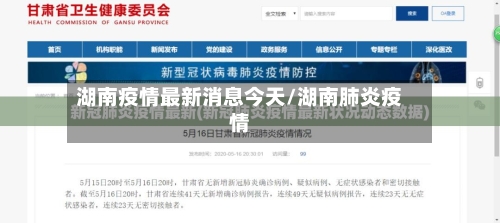 湖南疫情最新消息今天/湖南肺炎疫情-第2张图片
