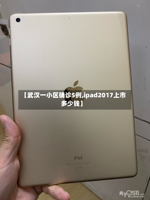 【武汉一小区确诊5例,ipad2017上市多少钱】-第2张图片