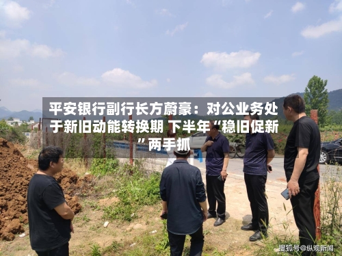 平安银行副行长方蔚豪：对公业务处于新旧动能转换期 下半年“稳旧促新”两手抓