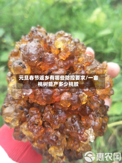 元旦春节返乡有哪些防控要求/一亩桃树能产多少桃胶-第2张图片