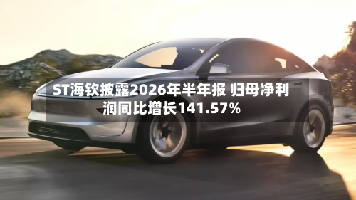 ST海钦披露2026年半年报 归母净利润同比增长141.57%-第3张图片