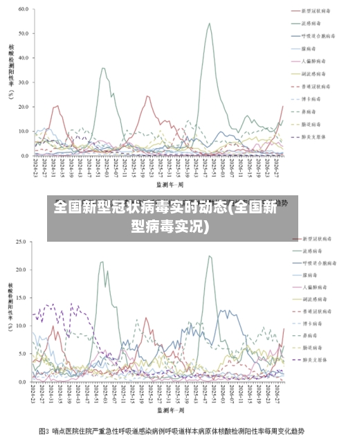全国新型冠状病毒实时动态(全国新型病毒实况)