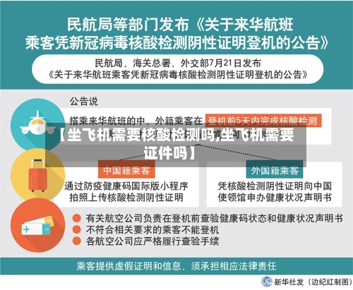 【坐飞机需要核酸检测吗,坐飞机需要证件吗】-第2张图片