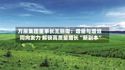 万辰集团董事长王丽卿：增量与增效同向发力 解锁高质量增长“新副本”