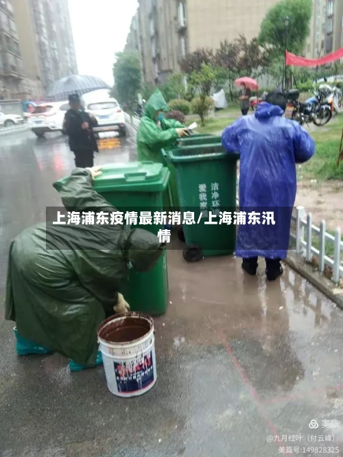 上海浦东疫情最新消息/上海浦东汛情