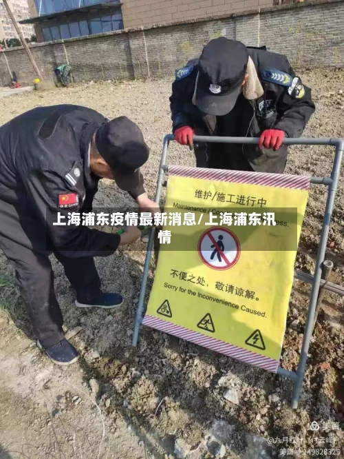 上海浦东疫情最新消息/上海浦东汛情-第3张图片