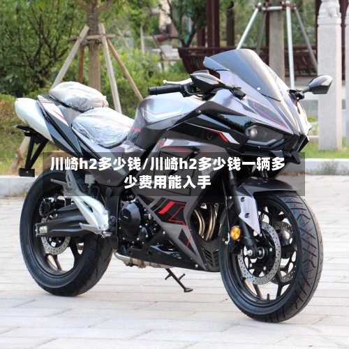 川崎h2多少钱/川崎h2多少钱一辆多少费用能入手