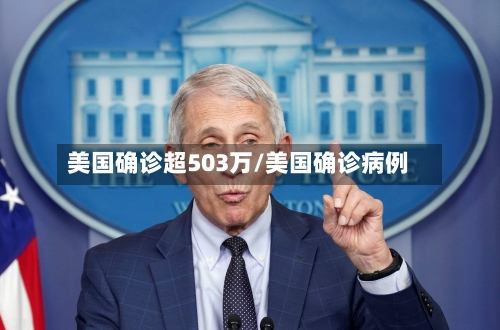 美国确诊超503万/美国确诊病例